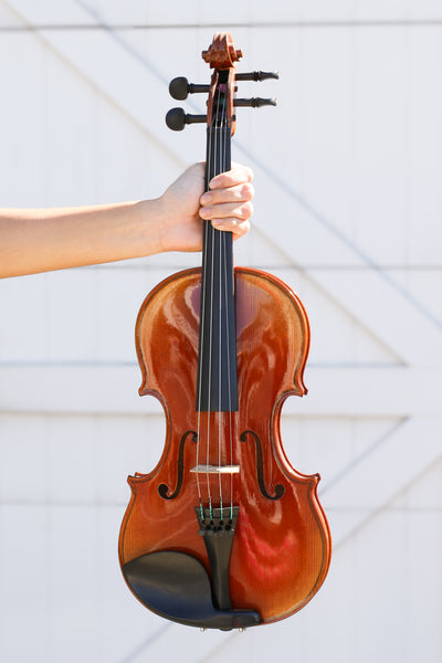 Henri Delille Violin No. 6 Amati Copy 1666