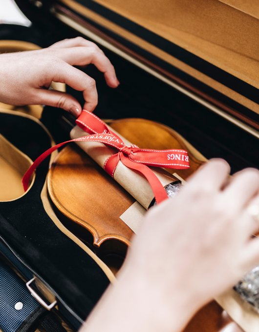 Aldi violin sales