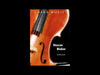 Storm Rider (Timo Jarvela) for String Orchestra