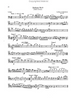 Orchester Probespiel (Test Pieces for Orchestral Auditions) for Double Bass (Schott)